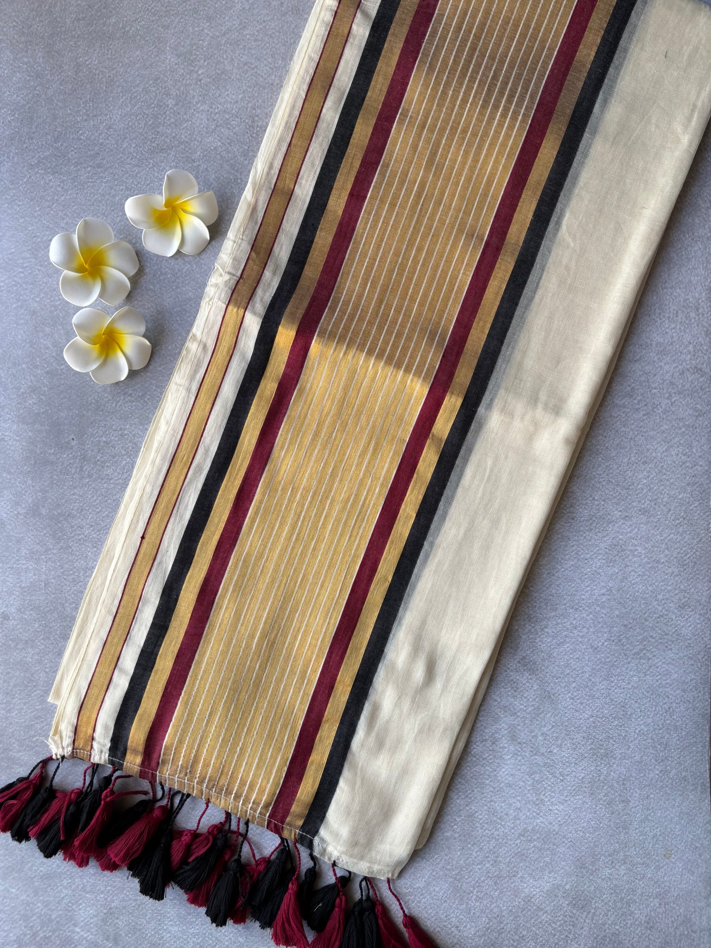Mul cotton kanchi border