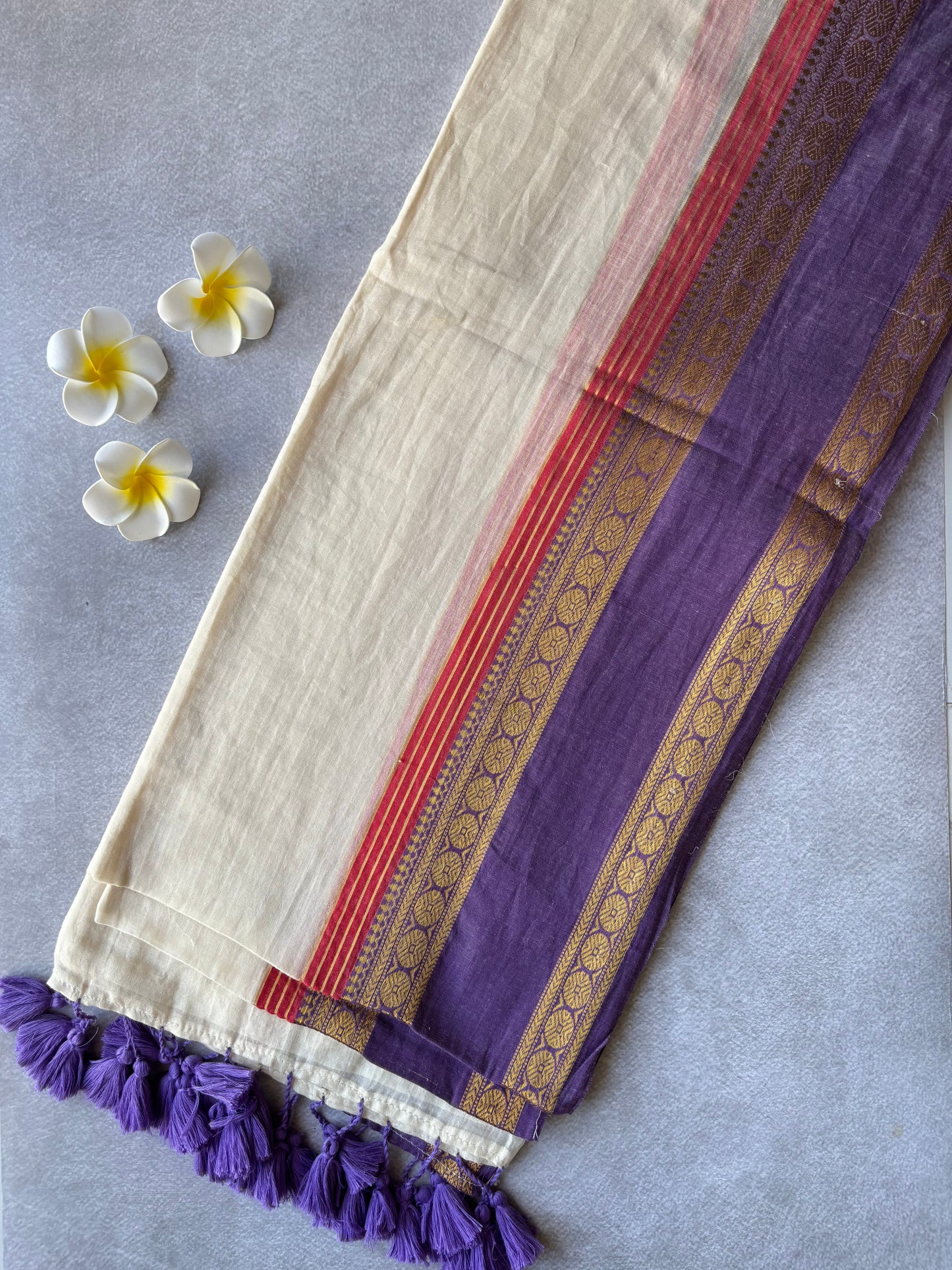 Mul cotton kanchi border