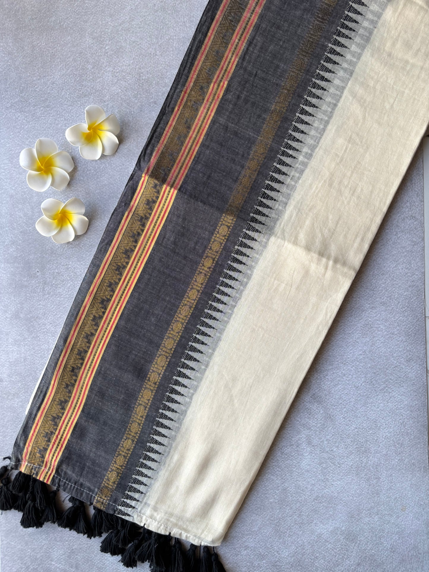 Mul cotton kanchi border