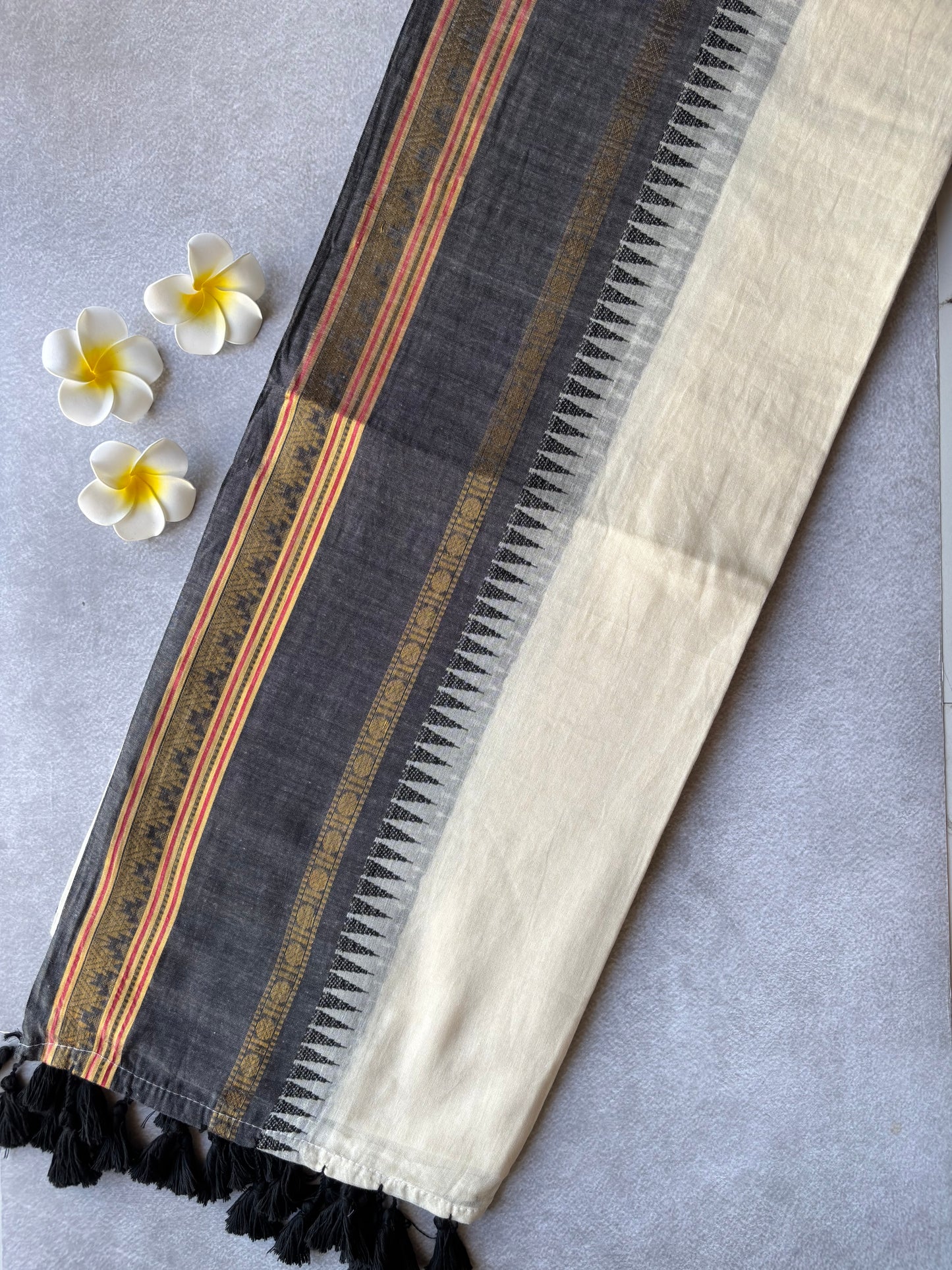 Mul cotton kanchi border